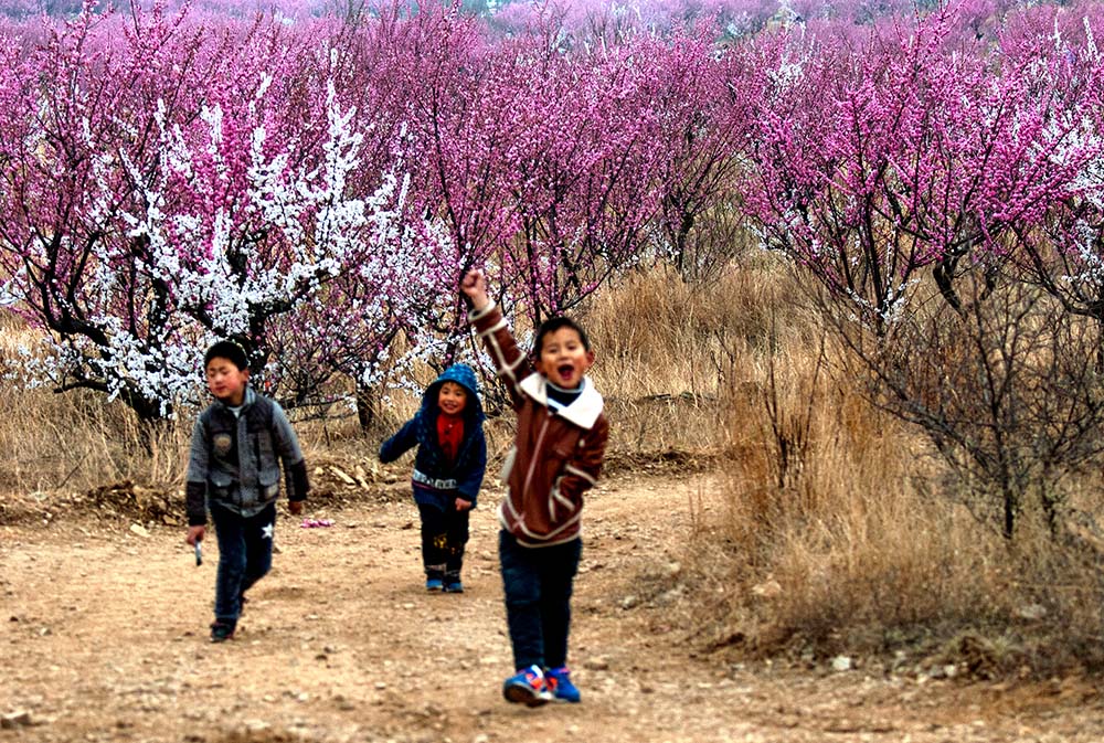 暖春花开新篇章，探索最新地址的无限魅力