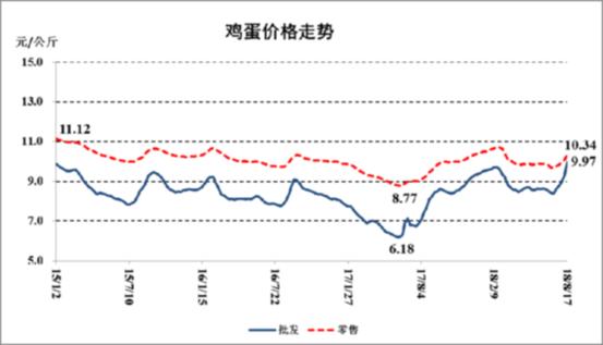 揭秘，每只约重达1.3公斤白条鸭的最新价格揭晓