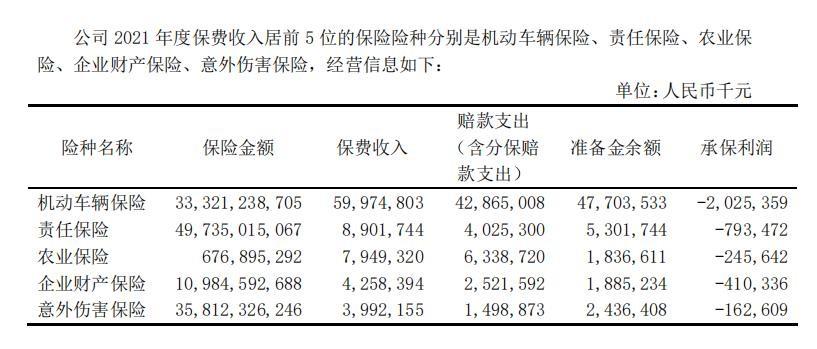 中国人寿最新险种介绍，全方位守护您的未来生活保障