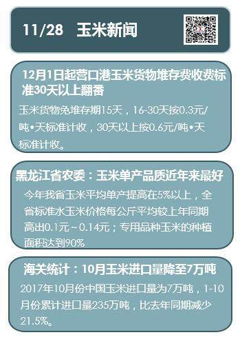 玉米保护价政策最新动态，保障农民利益，推动农业可持续发展