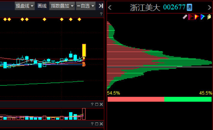 浙江美大股票最新消息深度解读与分析