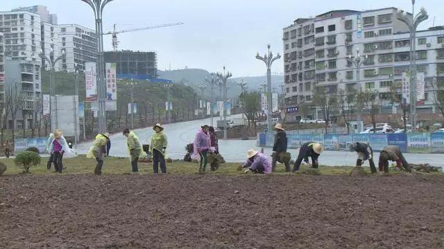 丰都长江二桥建设进展及未来展望的最新消息