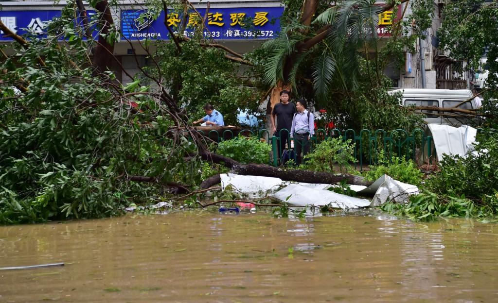 莫兰蒂台风最新路径动态监测与应对方案揭秘