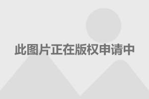 武宁路重塑城市交通脉络，最新改建消息助力城市繁荣发展