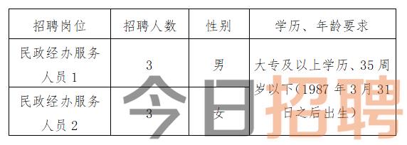 夷陵区民政局最新招聘信息汇总