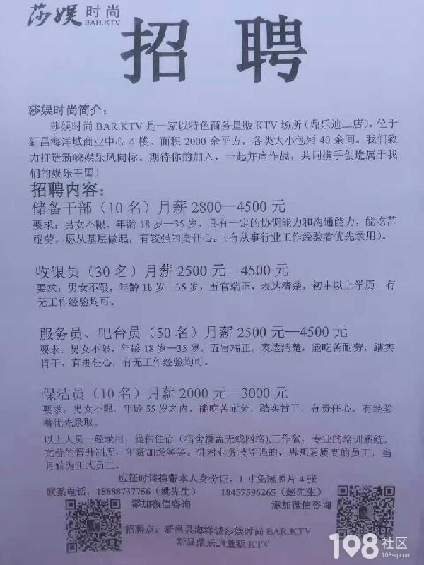 洛舍镇最新招聘信息全面解析