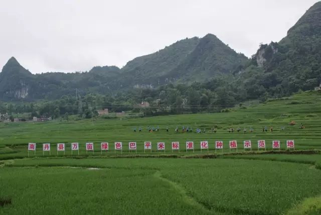 隆治乡新项目引领乡村发展新篇章