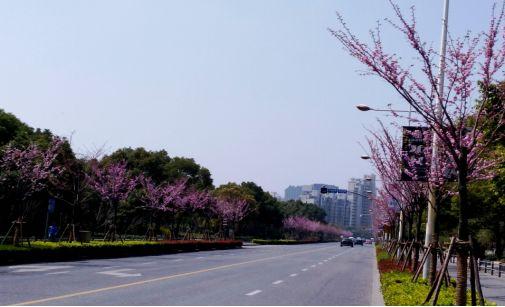 宝山东路街道天气预报更新通知