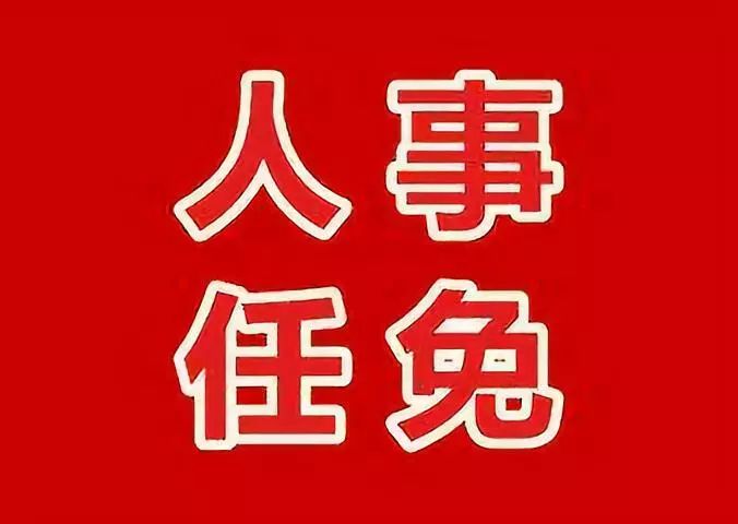 大碶街道人事任命揭晓，开启社区发展新篇章