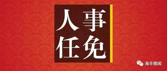 海丰县文化局人事任命动态更新