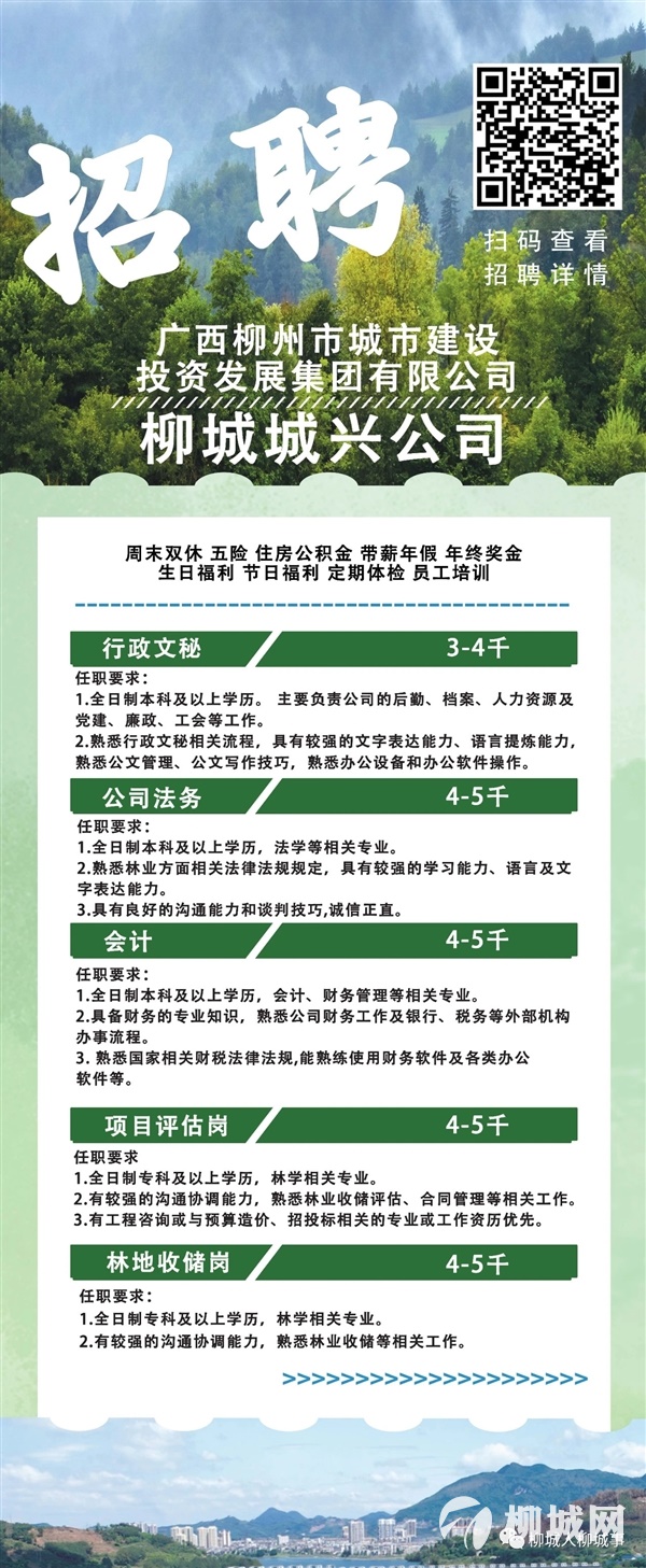 松林林场最新招聘信息概览及关键细节解读