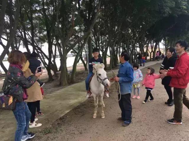 胜利村委会全新发展规划揭晓