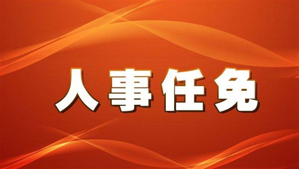 闸北区级托养福利事业单位最新人事任命及其影响