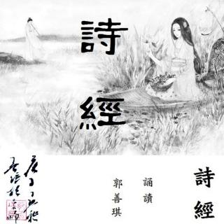 诗经村乡最新新闻，探寻乡村发展新篇章