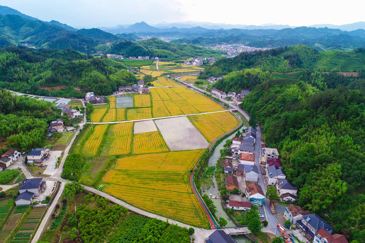 石山镇交通新动态，发展助力地方繁荣