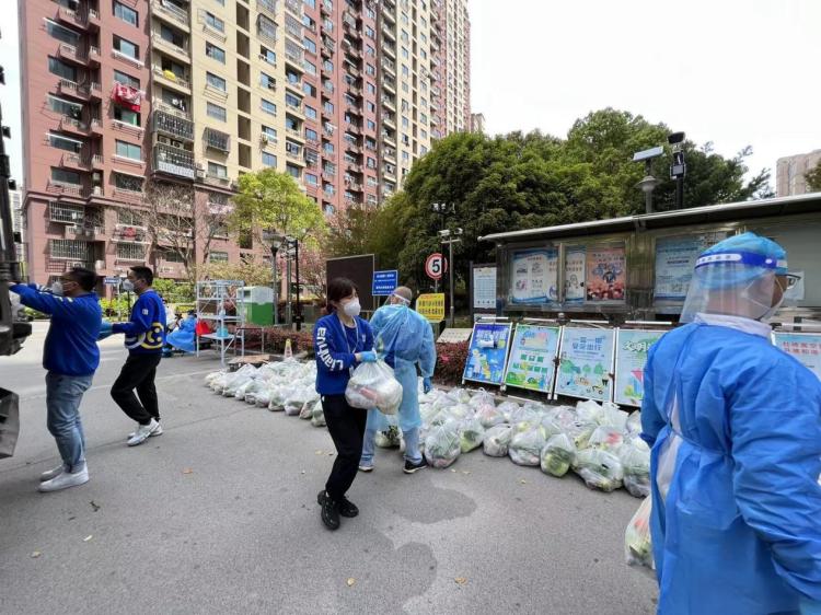 浦东新区应急管理局最新项目，构建现代化应急管理体系