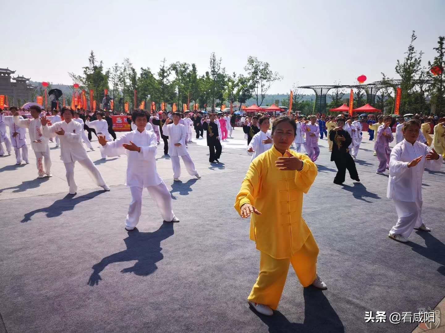 武功县文化广电体育和旅游局最新项目，塑造多元融合的文化旅游新境界