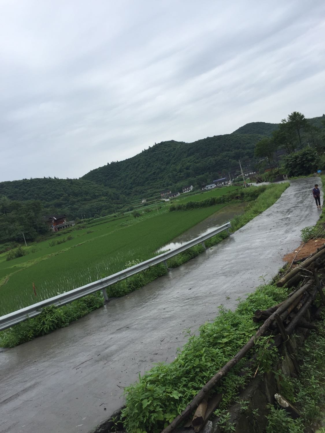 黄竹村最新天气预报通知