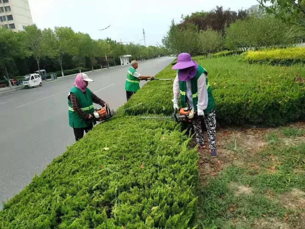 垦利县自然资源和规划局最新项目，推动区域可持续发展与生态保护协同前行