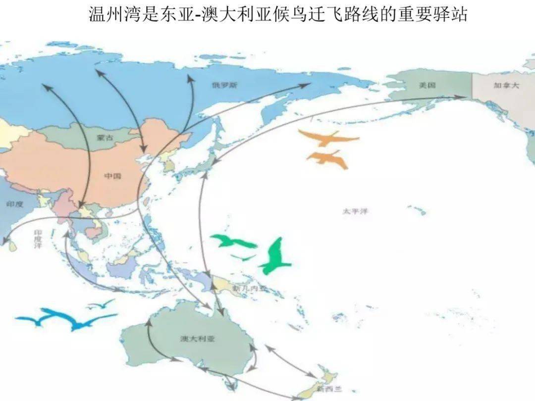 青山区自然资源和规划局最新发展规划概览