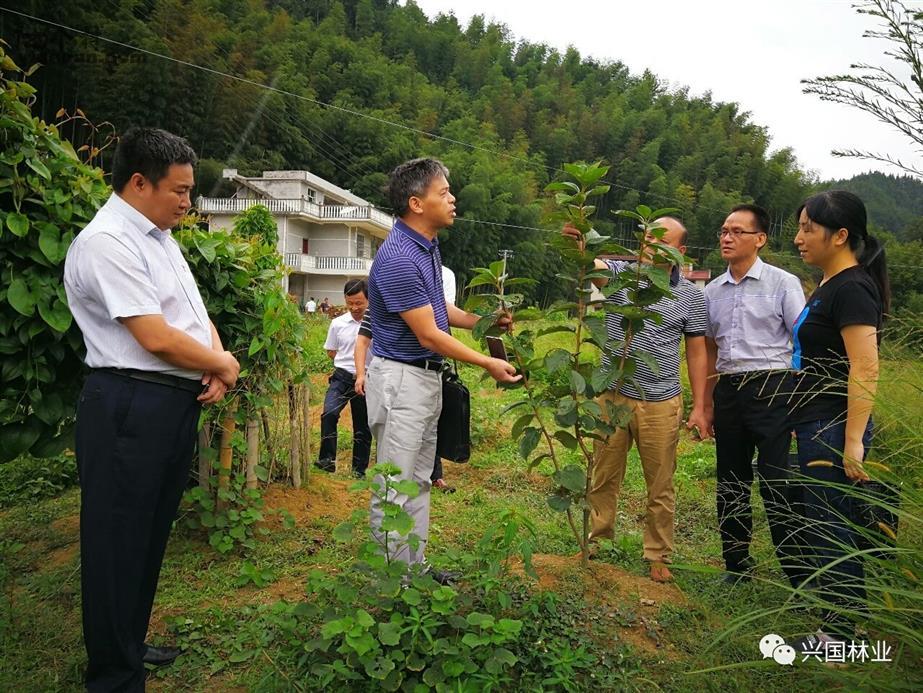 分水村最新领导团队引领村庄走向新的辉煌