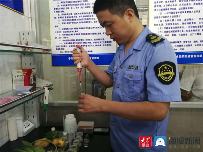 宁阳县市场监督管理局最新项目，推动市场监管现代化，助力地方经济高质量发展