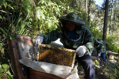 洛阳市卫生局最新招聘信息汇总