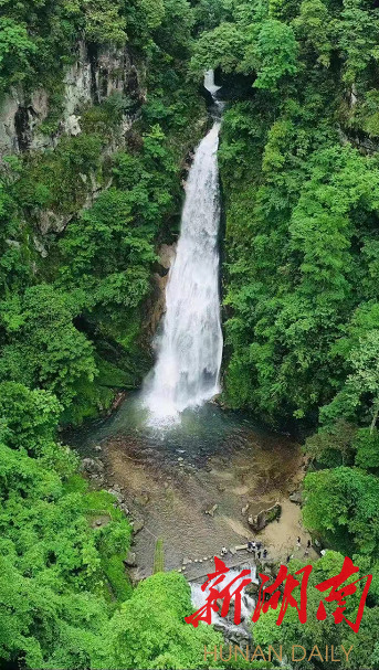 炎陵县桃源洞管理局最新天气预报