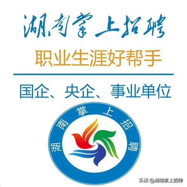 开福区发展和改革局最新招聘信息概览