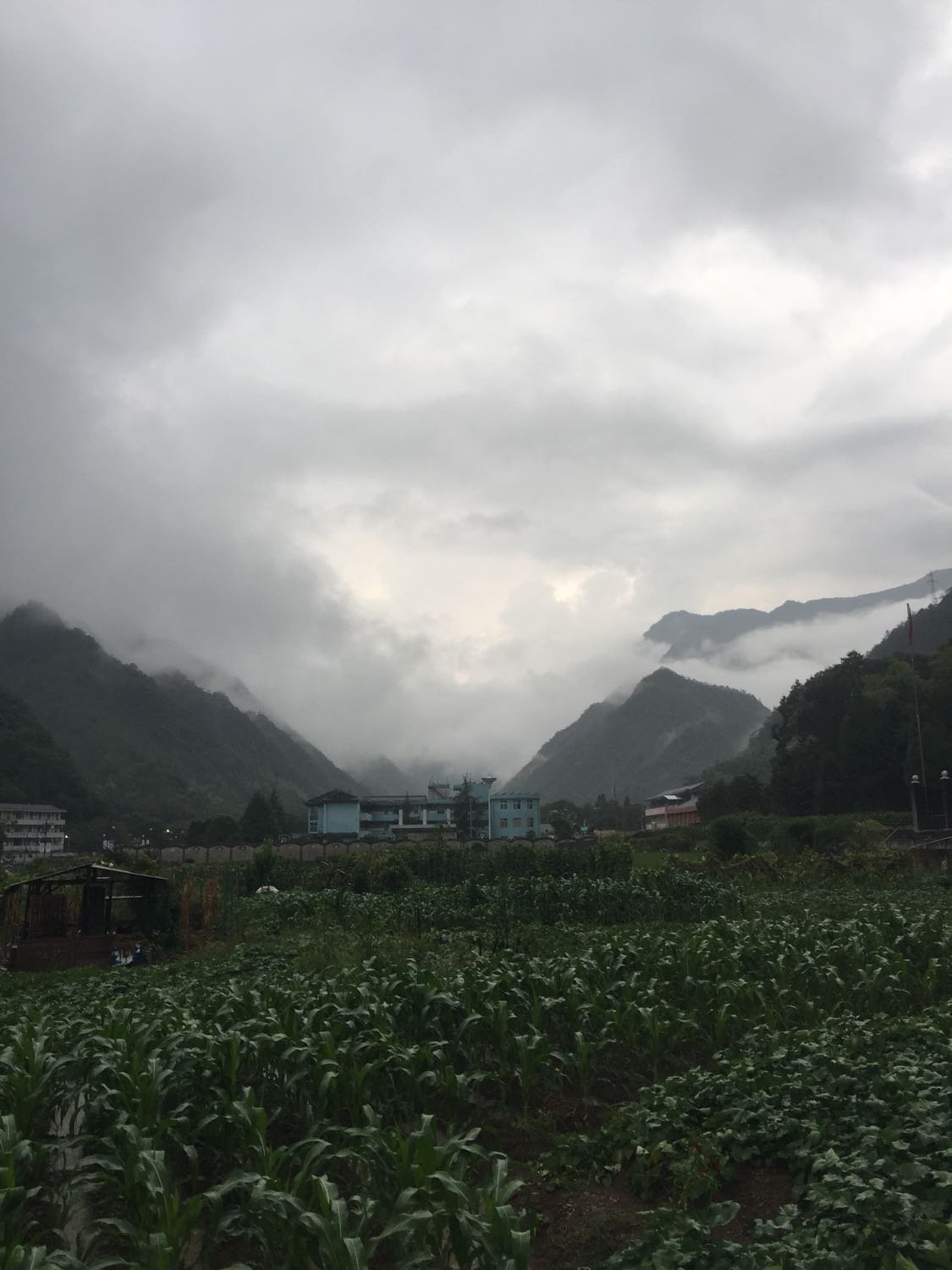 洪山镇天气预报更新通知