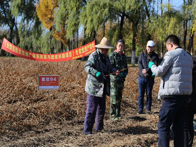 名山农场最新新闻，展现现代化农业新面貌