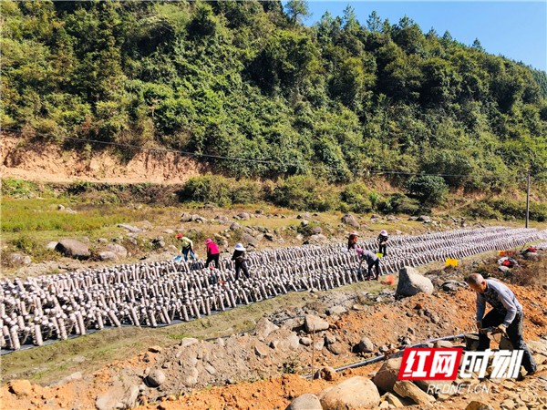 干塘村新项目，乡村振兴新动力源泉