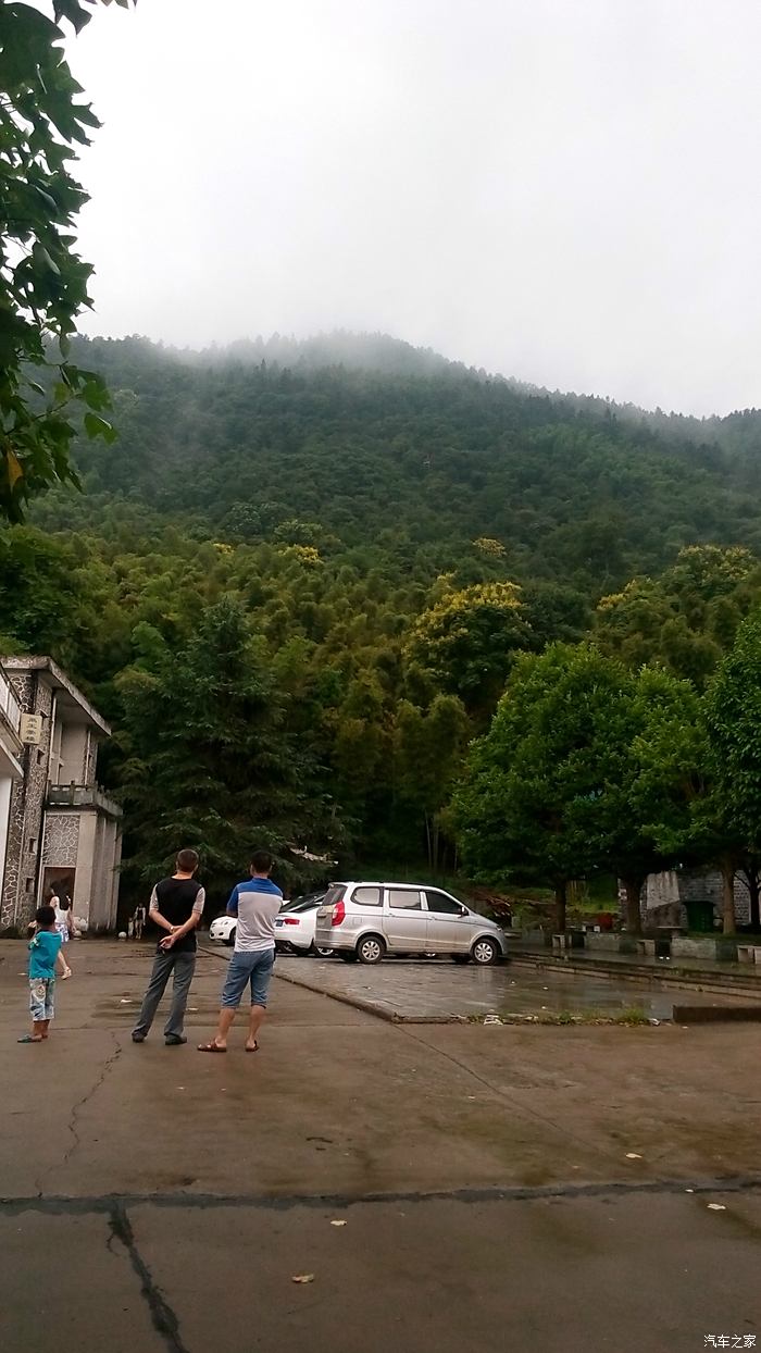 衡阳县岣嵝峰林场最新动态报道