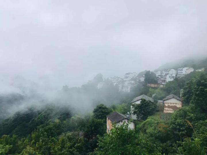 朱加村最新交通动态报道