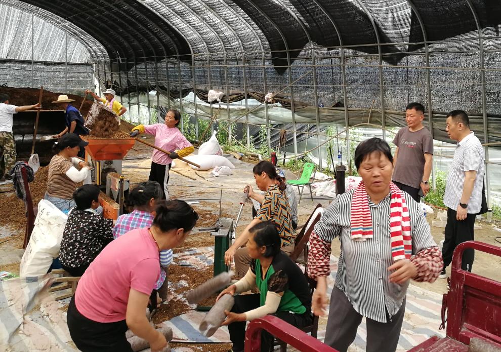 年扎村最新项目，乡村振兴新动力启航