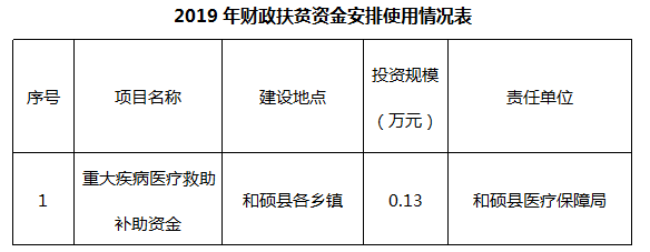 和硕县医疗保障局最新项目概览与动态