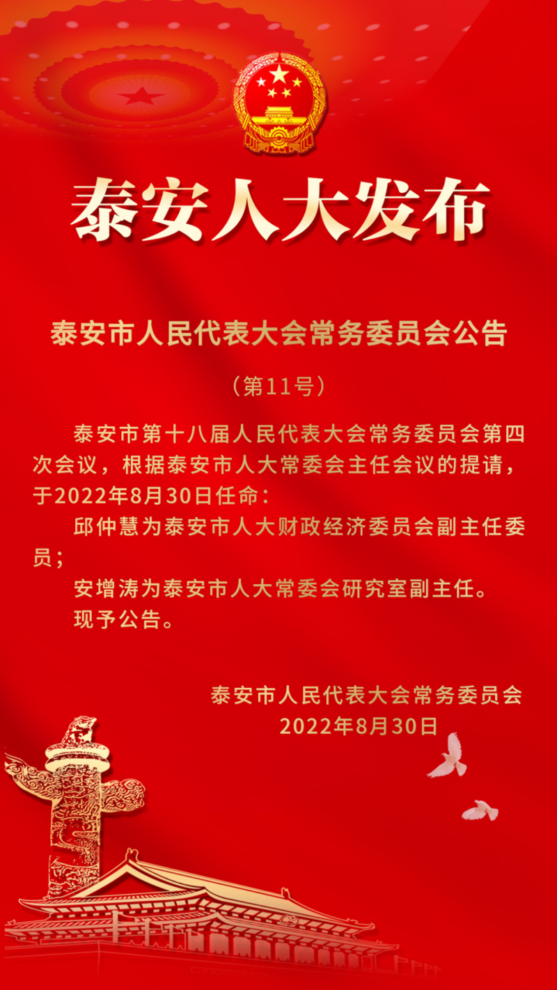 泰安市人事局最新人事任命，城市发展的坚实后盾力量